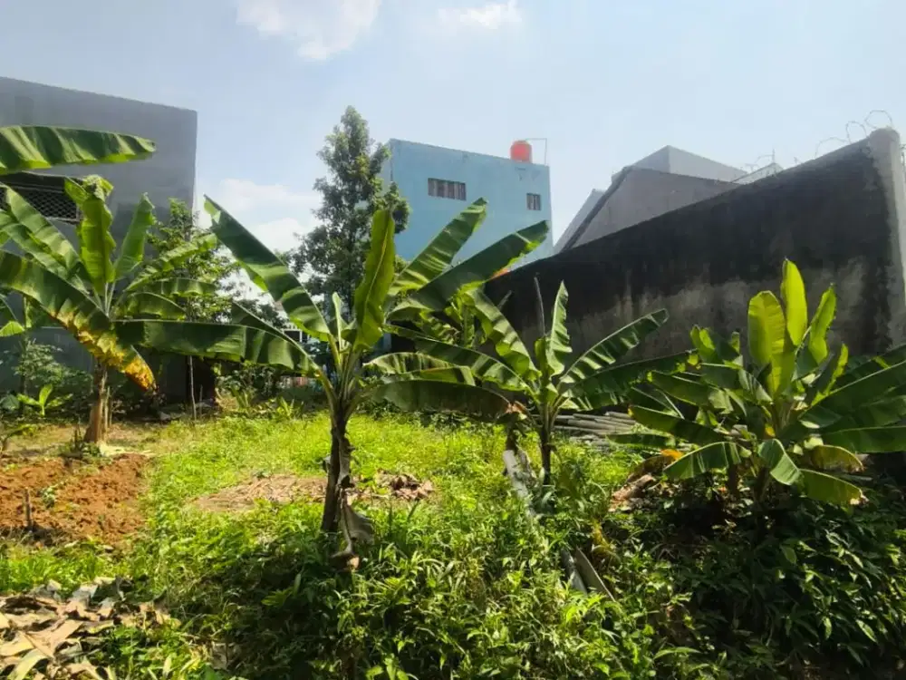 Tanah Pemandangan Depan Golf Sentul City  Permata Golf & Sungai - Griya Alam Sentui Bogor