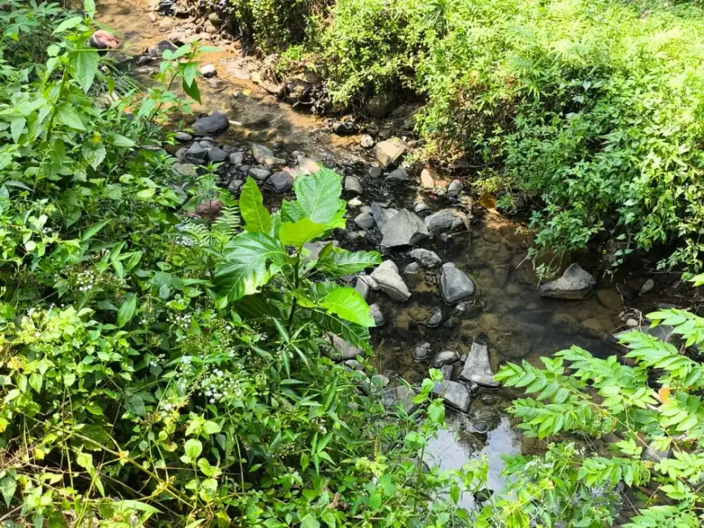 Dijual Tanah depan Permata Golf Sentul - SIAP BANGUN - Sentul City - Griya Alam Sentul IMB Ready