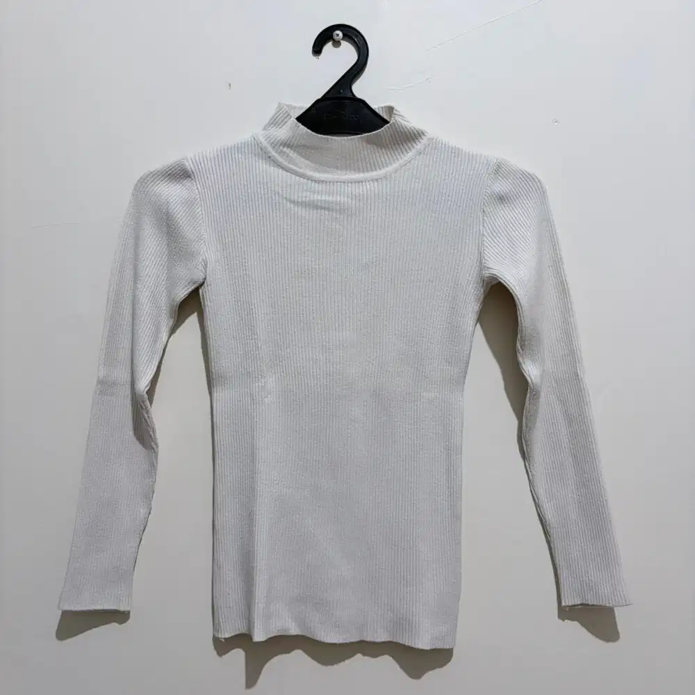 Rib Knit Turtleneck