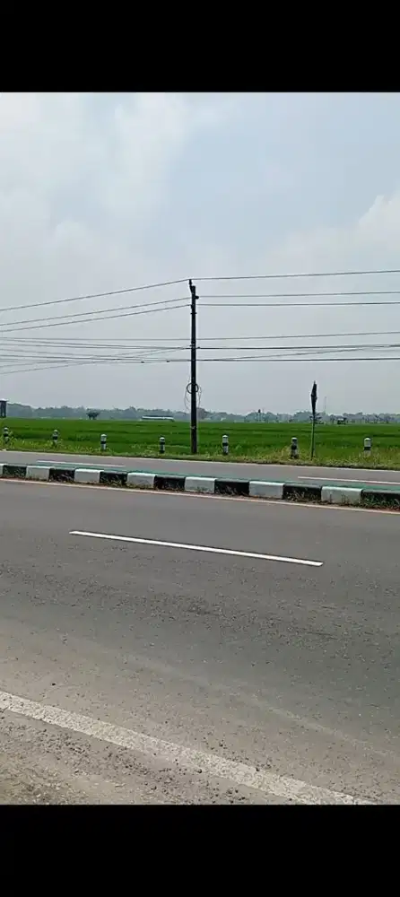 Tanah luas pinggir jl nasional di Sragen