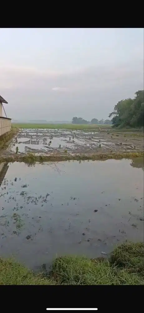 DIJUAL TANAH BOJONEGORO