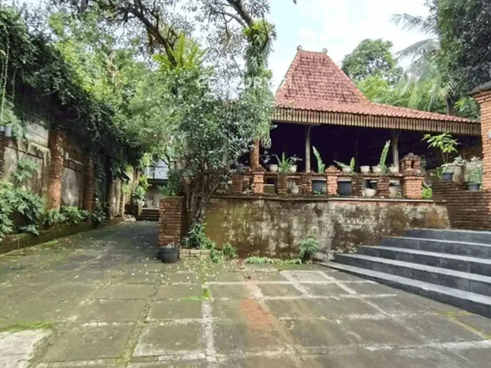 Rumah Design Rumah Solo Tanah Berkontur Di Sektor 9 Bintaro  8353