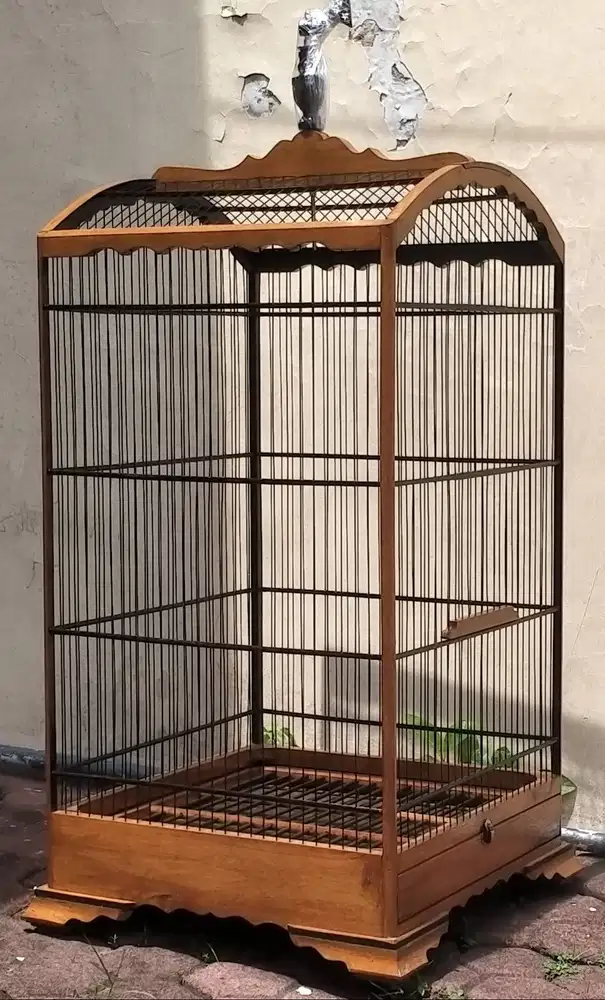 sangkar kosan ceper ukuran 40x40