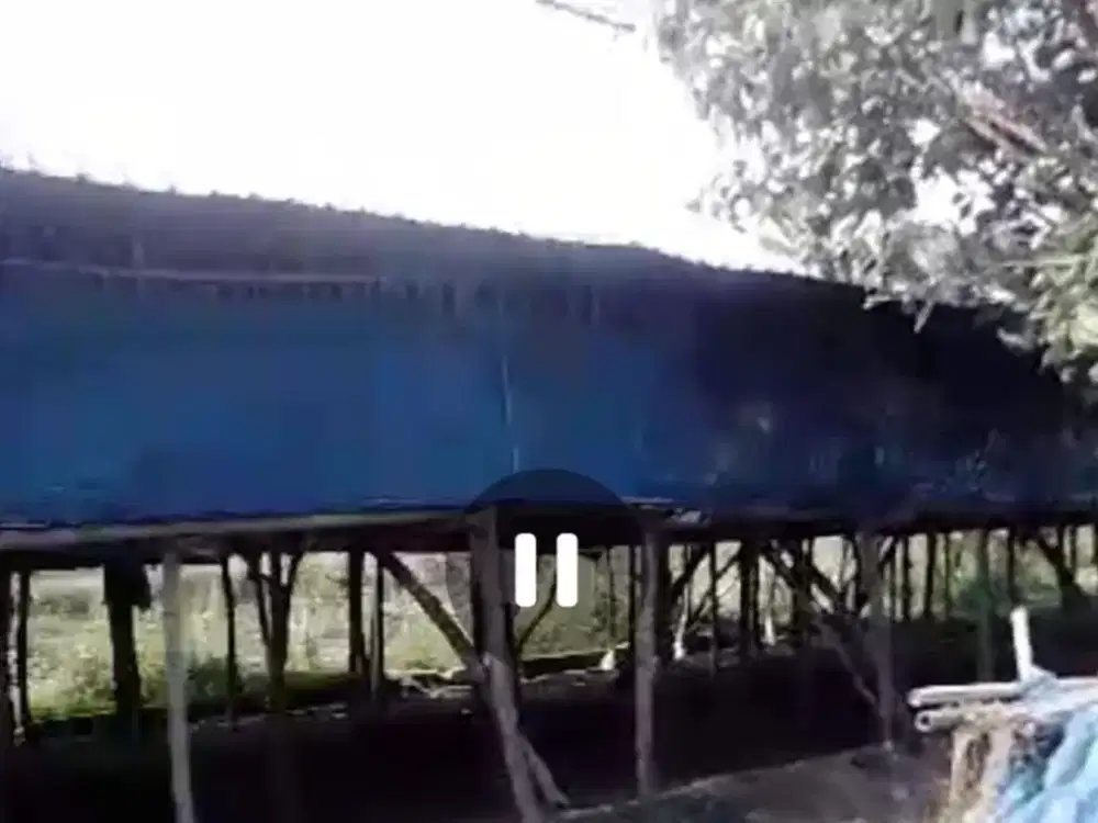 Dijual tanah ada kandang ayam di Ngoro, Jombang