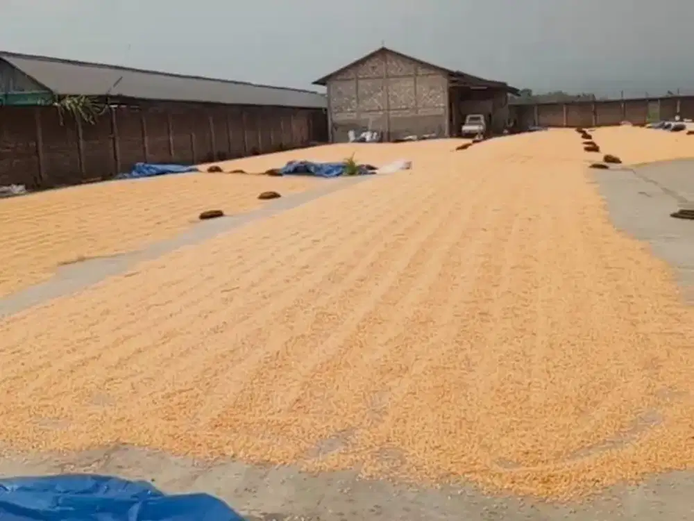 Dijual gudang selep Bareng, Jombang