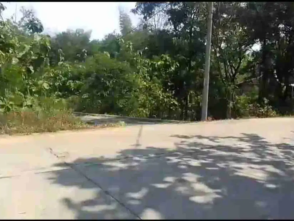 Dijual pekarangan di jalan jgn mulur bemdosari sukoharjo