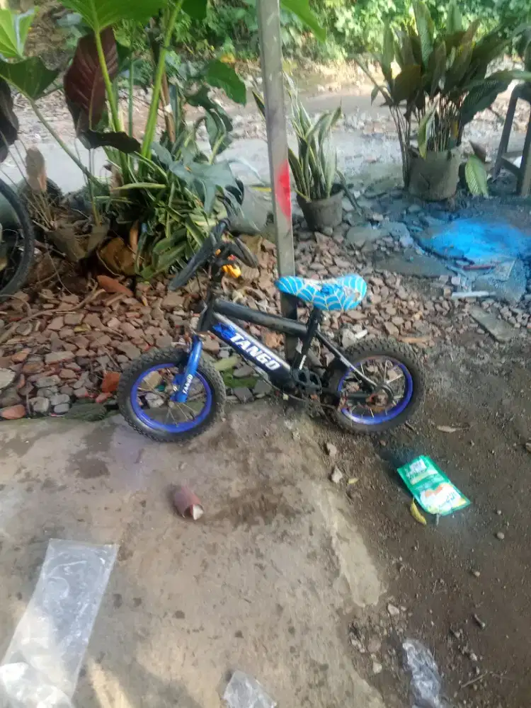Sepeda anak 12 san