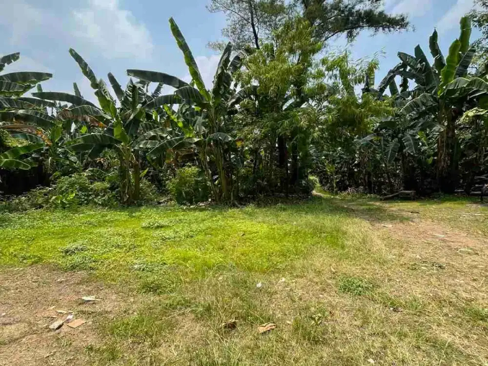 Dijual Sangat Murah Dibawah NJOP Tanah Kemang