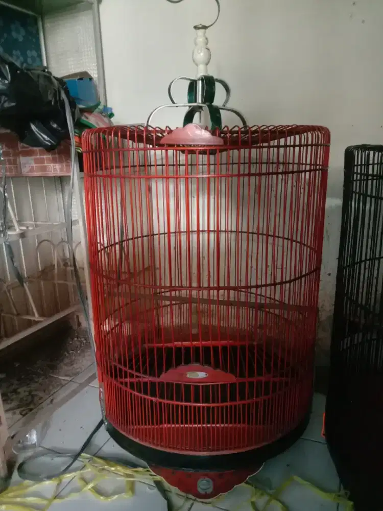 Kandang murai Rafi Jaya list akrilik 400 NET ya pondok aren