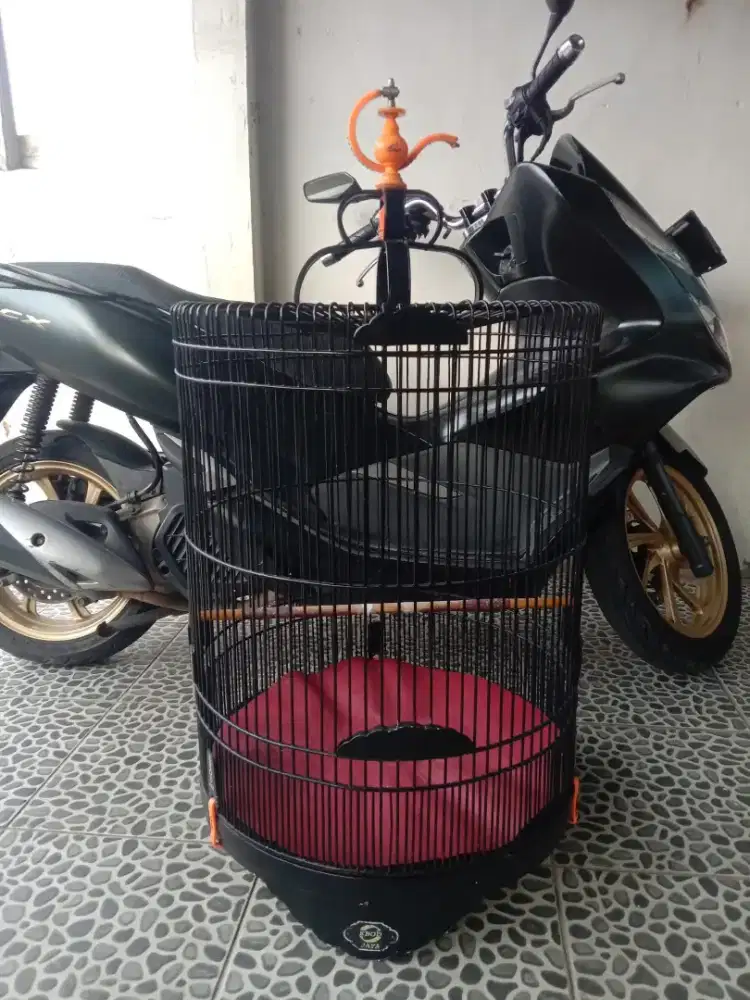 Kandang murai Ebod jaya no 3 400 k NET pondok aren