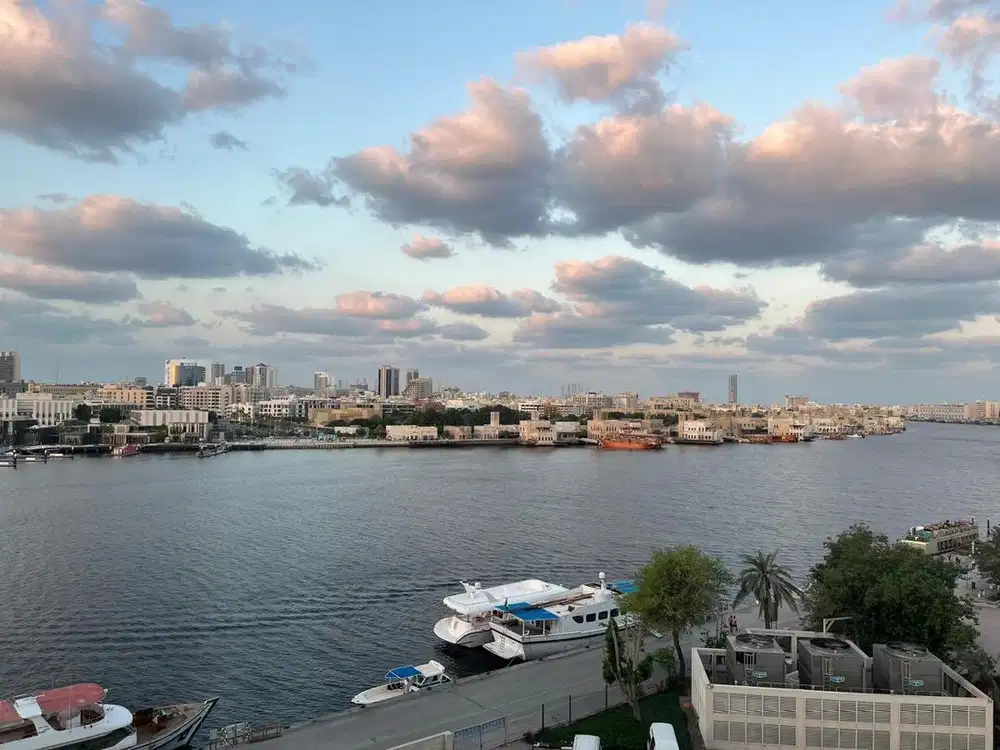 PERSONAL ASSISTANT (PRIA)