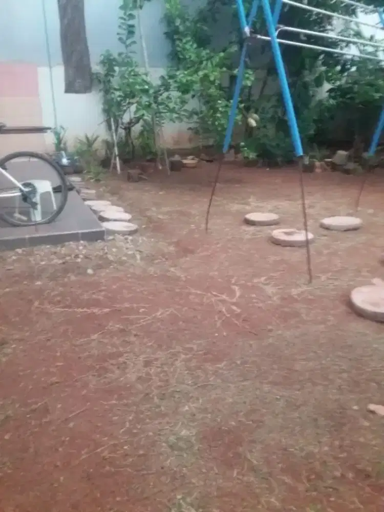 JASA POTONG RUMPUT DISEMARANG