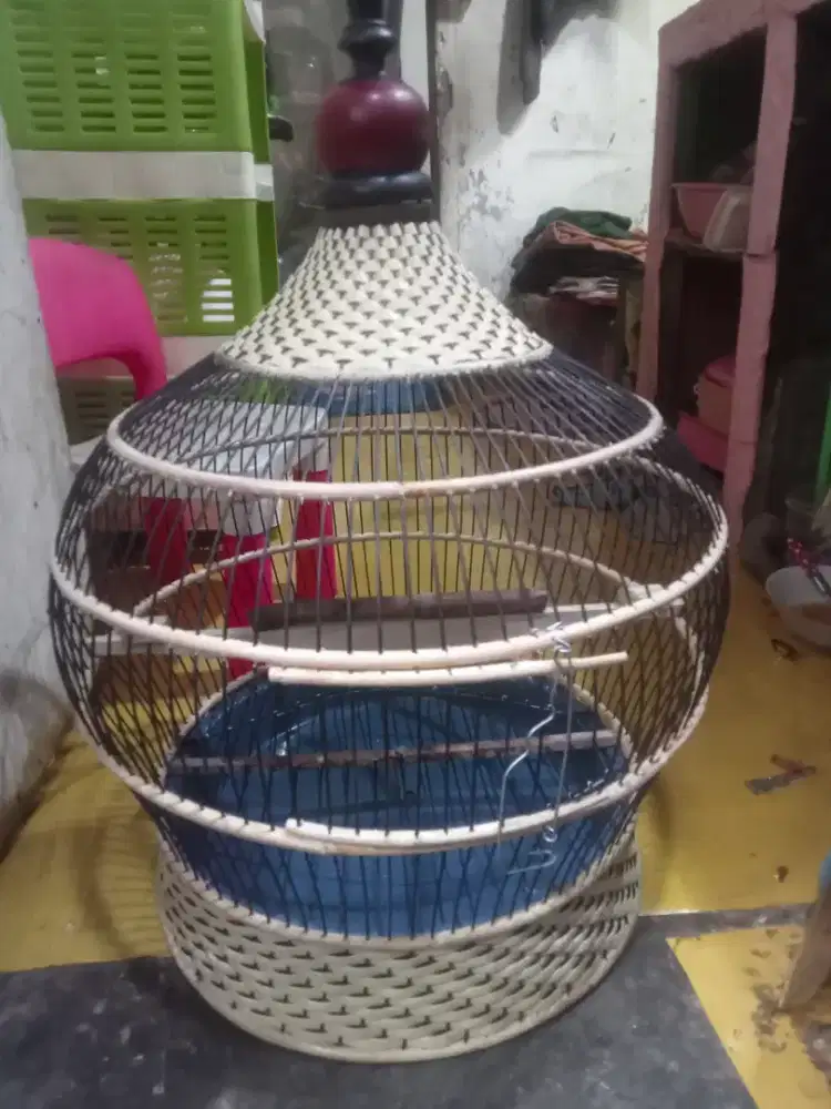 Sangkar perkutut dan tekukur baru