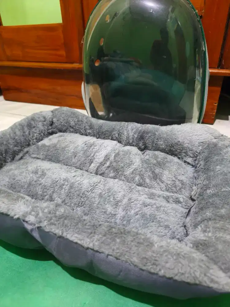 Tas astronot kucing dan kasur