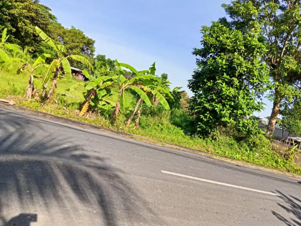 Di jual tanah jalan utama Waribang , DPS, Bali
