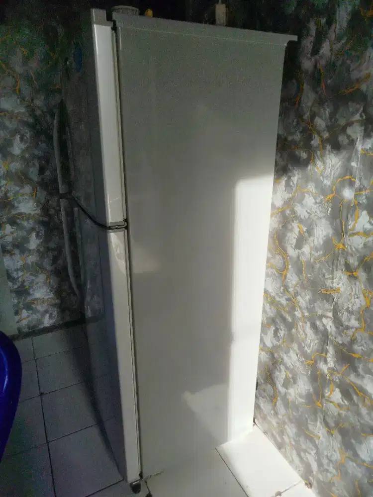 Kulkas 2 pintu LG