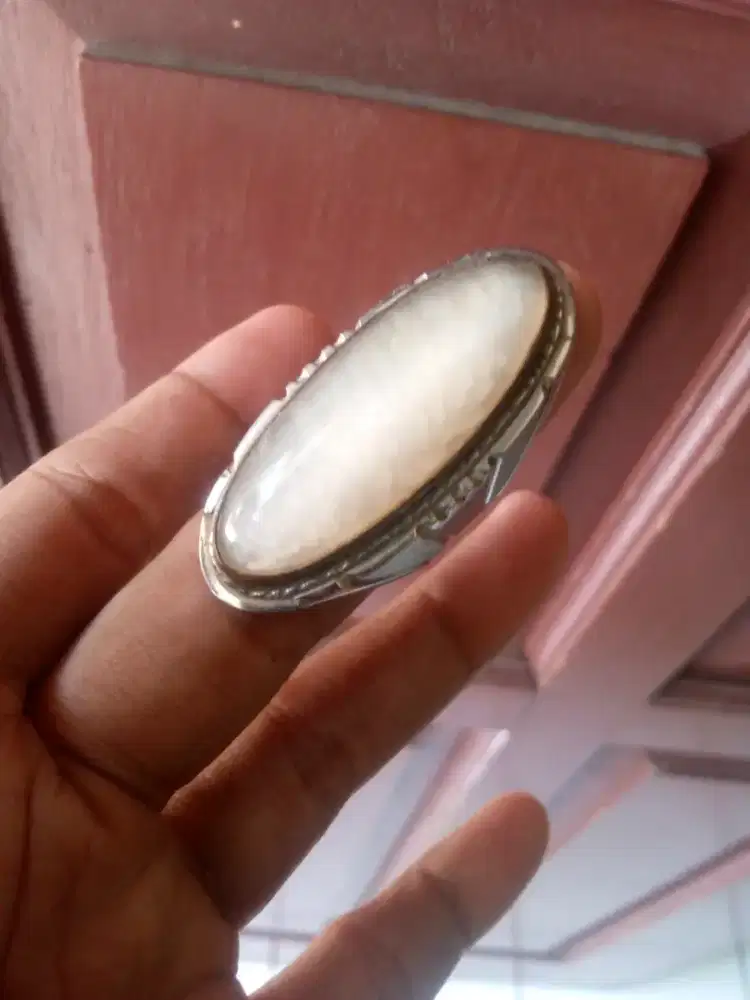 Pandan sutra sisik betik