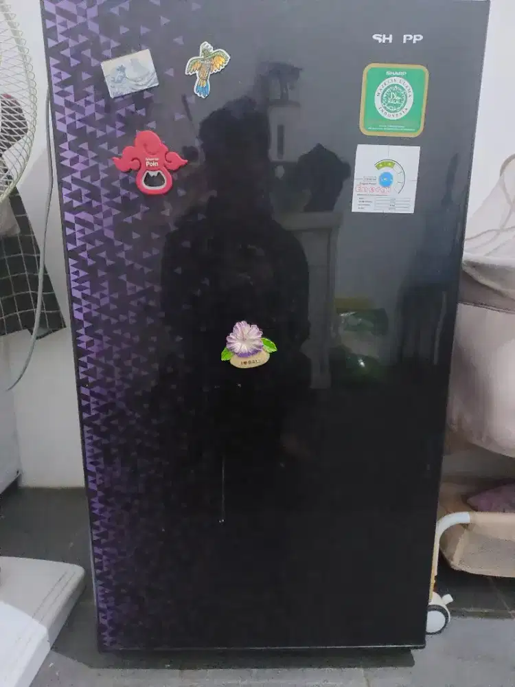 SHARP KULKAS 1 PINTU SHINE MAGNEGLAS 133L