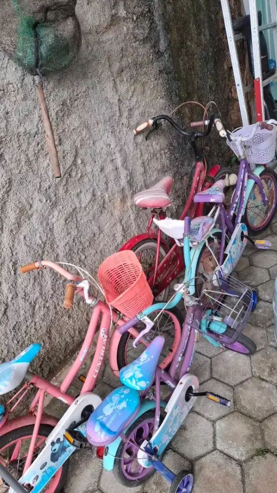 Dijual sepeda anak