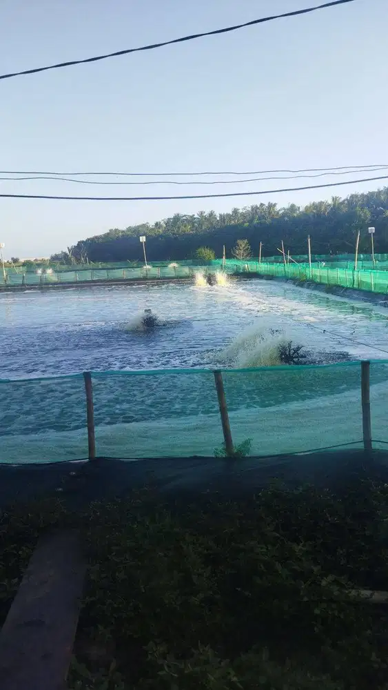 Lowongan Kerja Staf Gudang