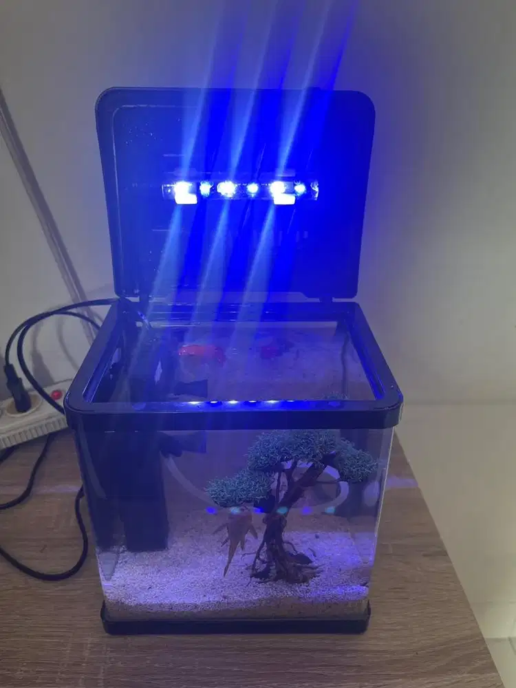 Aquarium fullset FISHLAND dari azko 4 ltr