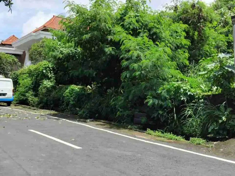 TANAH JALAN UTAMA SEKAR TUNJUNG SELATAN DENPASAR