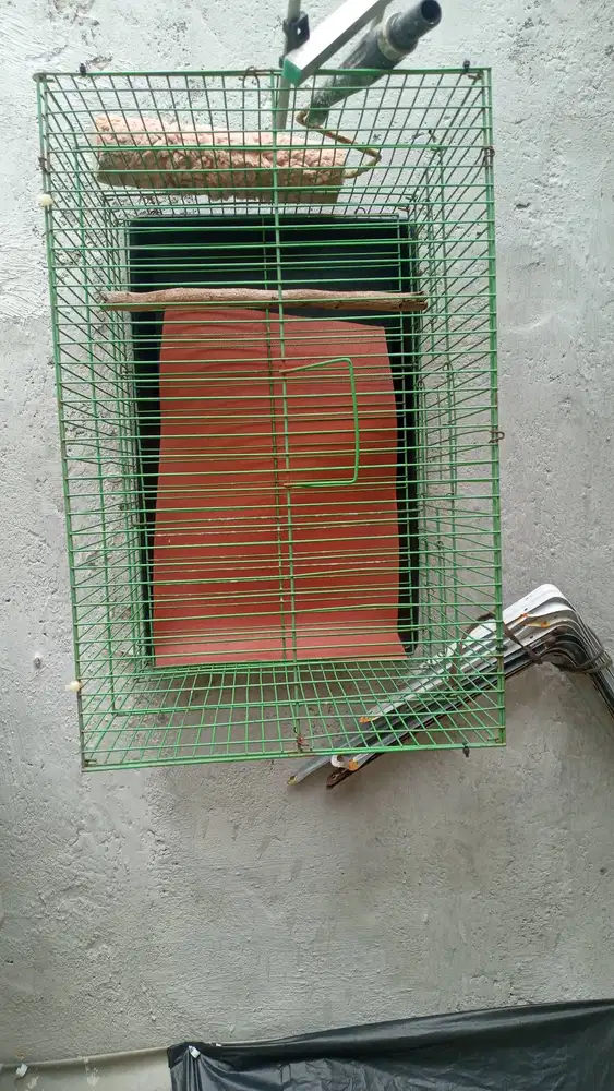 Juan kandang burung kotak masi lumayan bagus