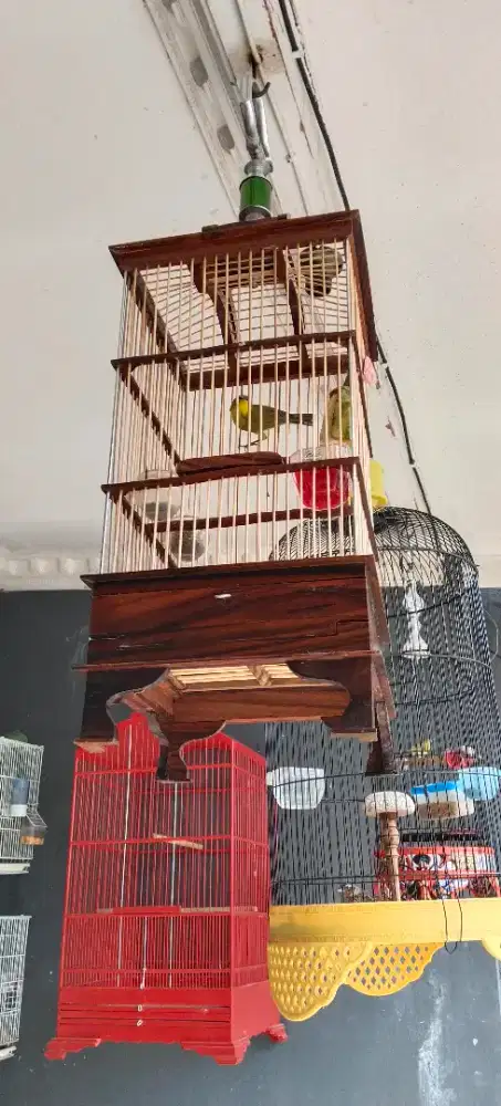 Sangkar burung kecil.