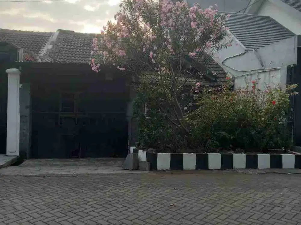 ‼️JUAL CEPAT‼️RAYA WIGUNA COCOK BUAT KANTOR DI GUNUNG ANYAR