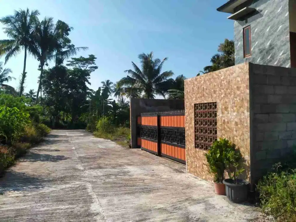 Jual Cepat Rumah 2 LT di Jl Palagan km 14 dekat Fasum