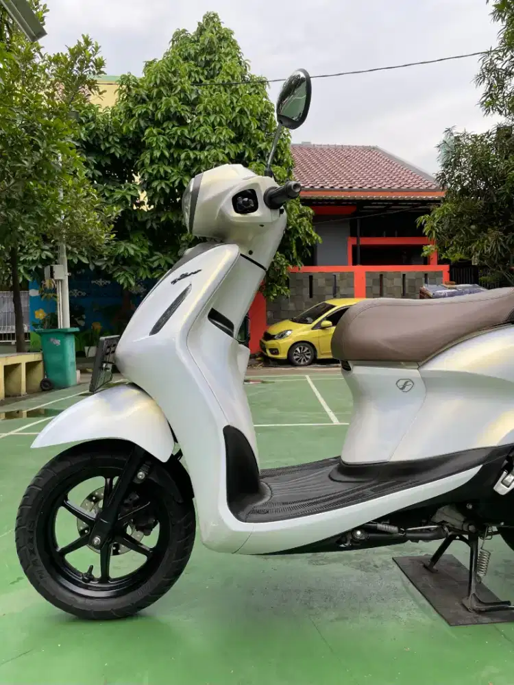 Grand filano Lux 2023