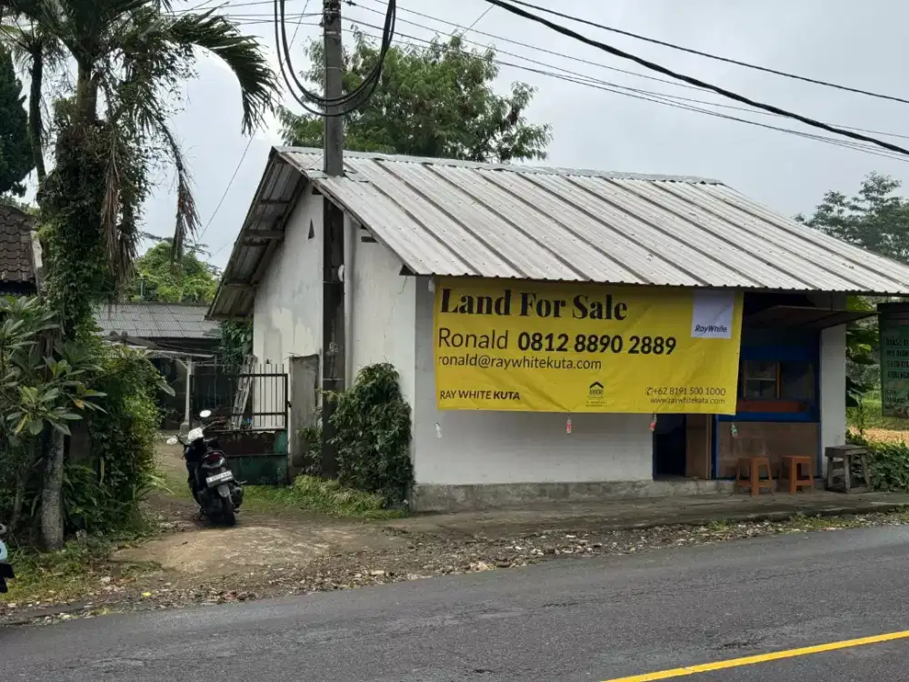 Tanah Rumah Toko Luas Tanah 43 Are