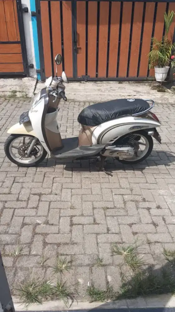Honda scoopy 2010 original