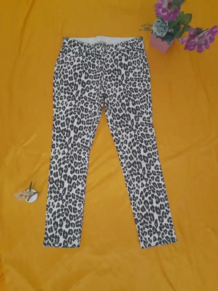 Celana macan - HSC 2025