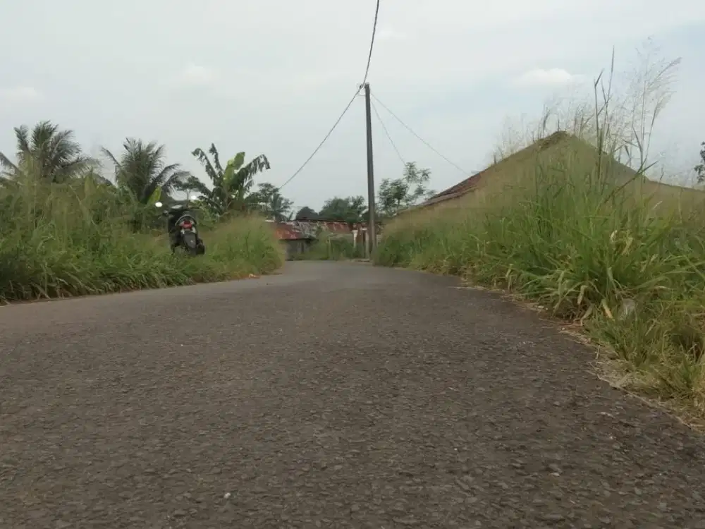 9 Menit Kopi Salacca Free SHM Kavling Murah Bogor