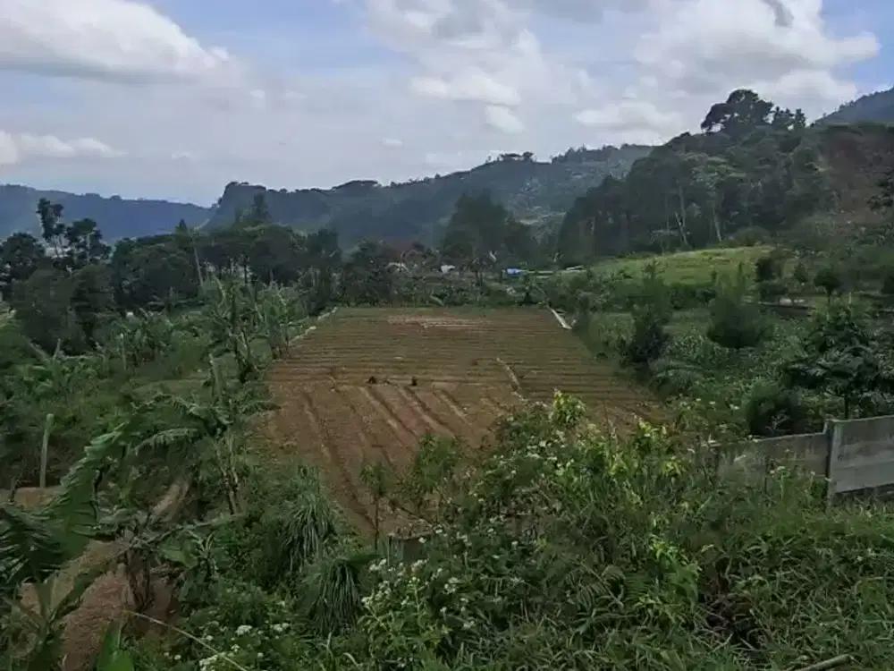 Lokasi Emas Tanah Dijual Siliwangi Bogor, Dekat Toll & Lippo Mall