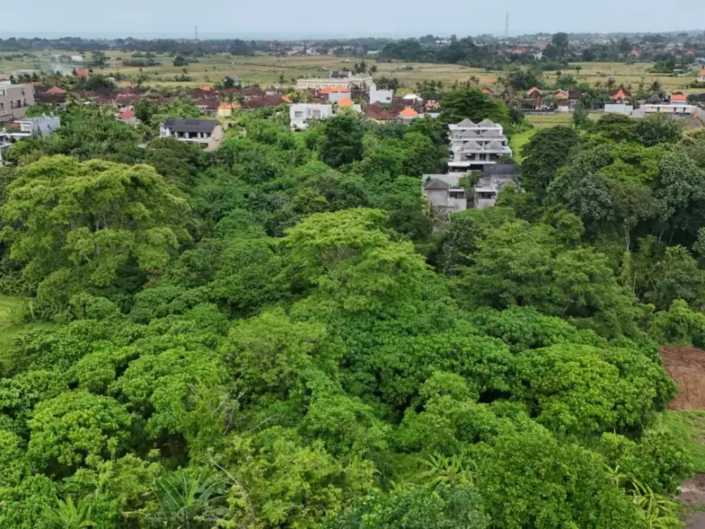 DIJUAL TANAH DI BUWIT TABANAN