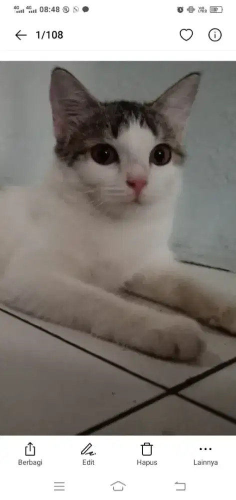 Mencari pekerjaan art PP