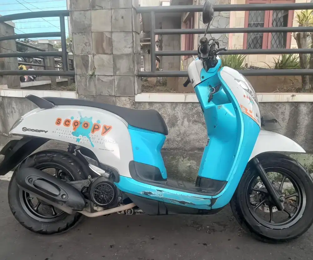 scoopy 2017 ban donat