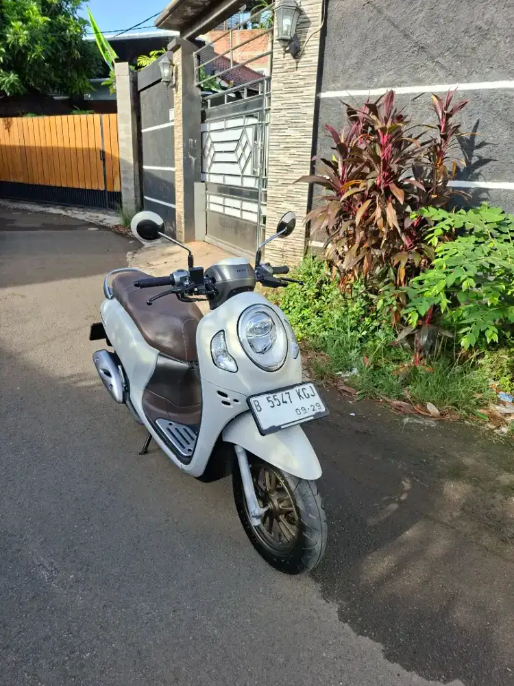 Honda New Scoopy prestige 2024