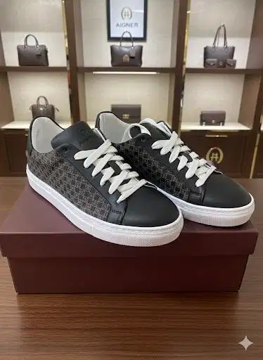 Aigner vera brown men