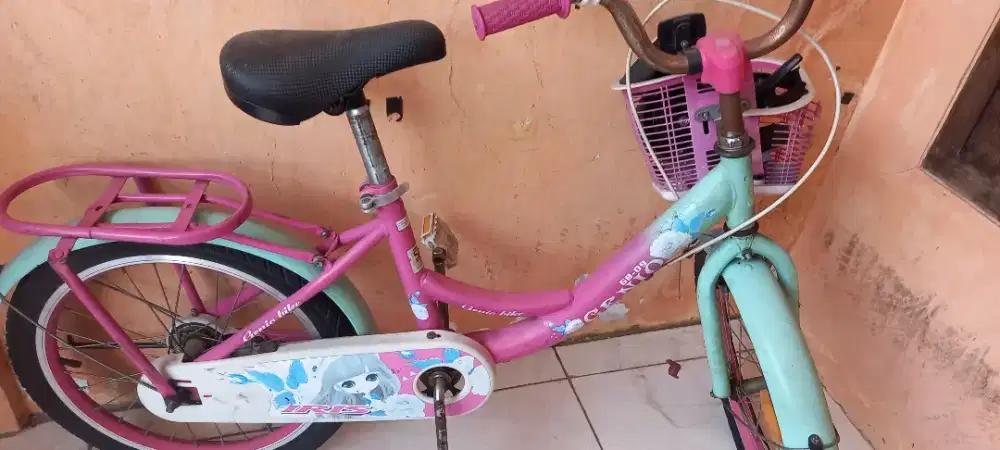 Sepeda Anak Genio 18