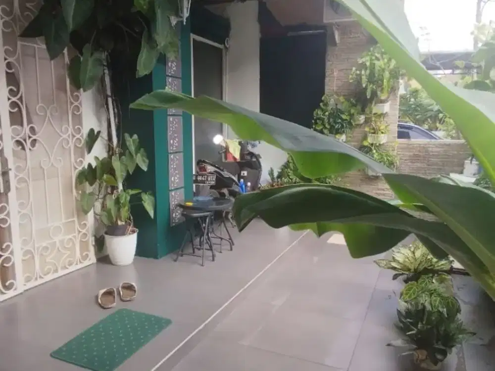 Jual Rumah Nyaman Area Mutiara Taman Palem Cengkareng Jakarta Barat