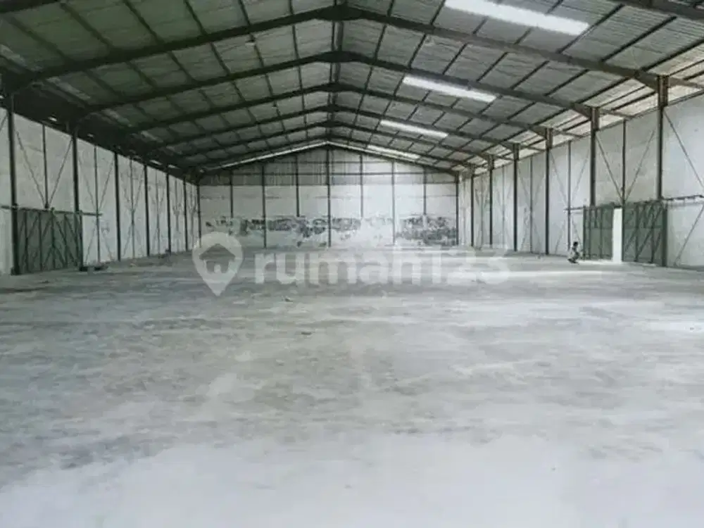 Disewakan gudang kapuk muara belakang elang laut