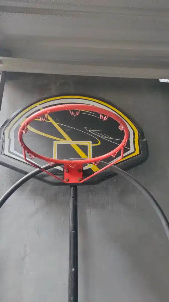 Ring basket portable