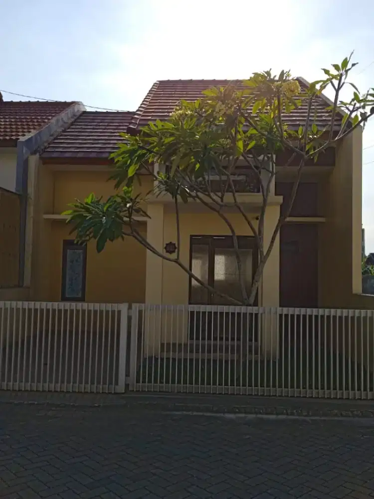 Di jual rumah 1 lantai