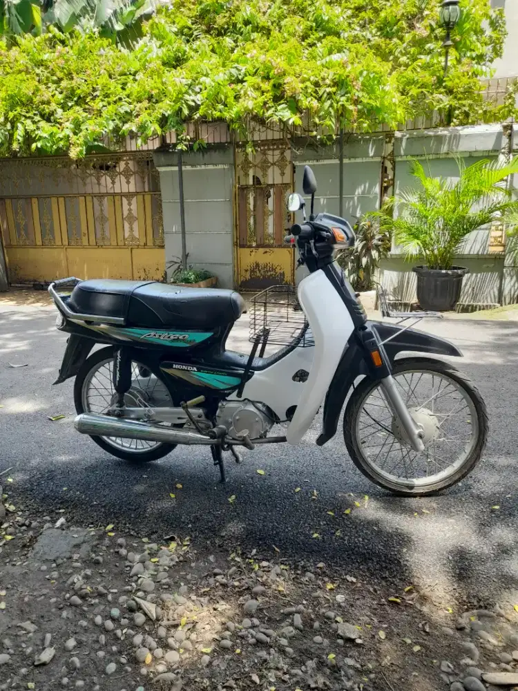Astrea legenda 2002