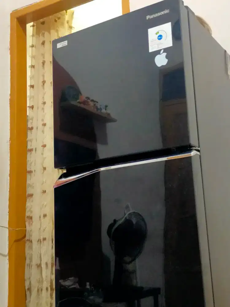 kulkas 2 pintu panasonic