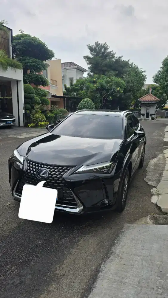 Lexus UX300e Nik 2023