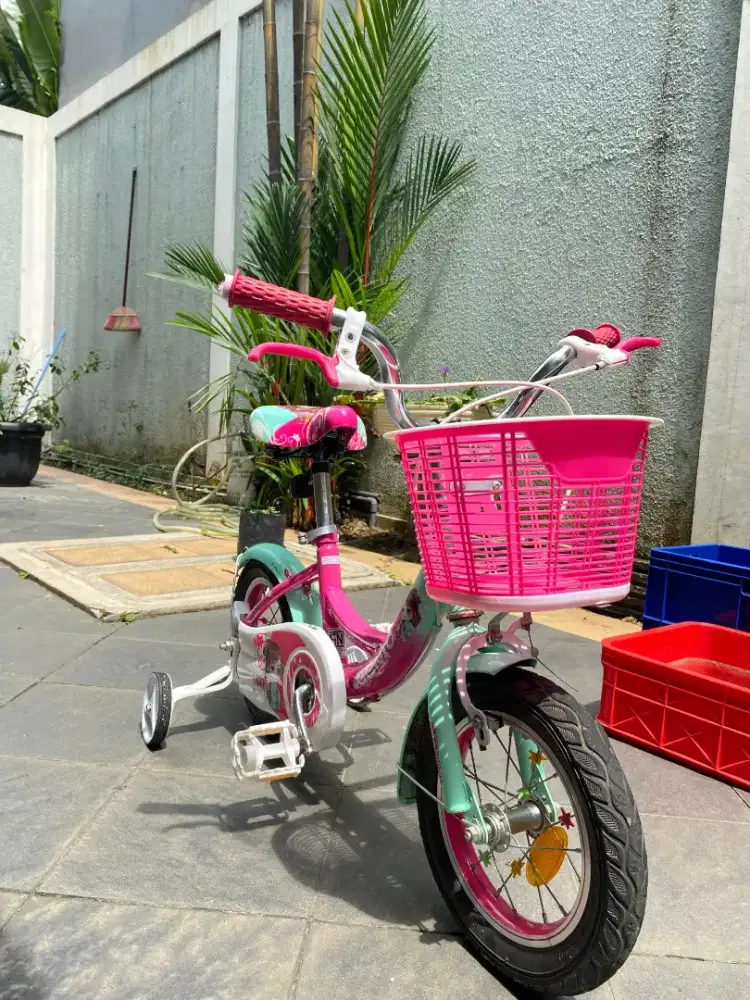 Sepeda Anak Bekas